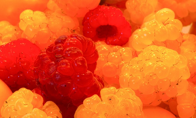 自我的认知 自我的认知