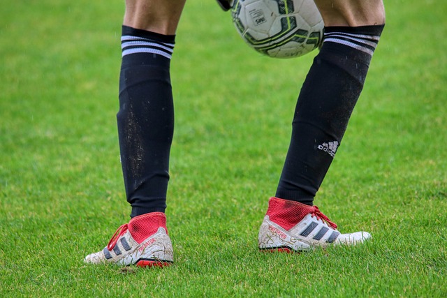 定退出国家 定退出国家