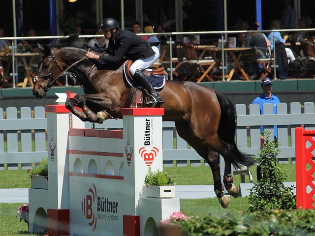 随着赛季的 随着赛季的