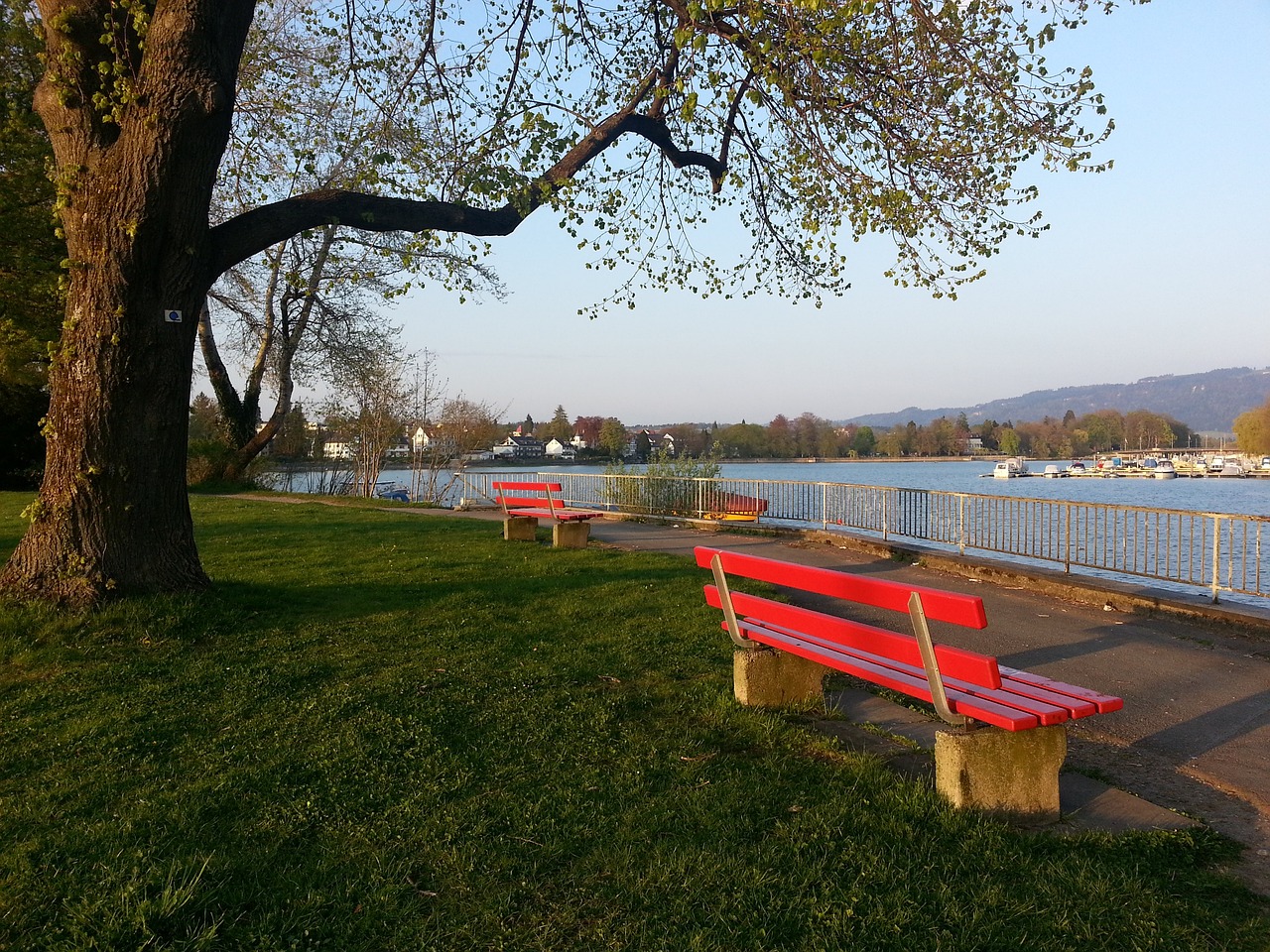 随着上海成 随着上海成