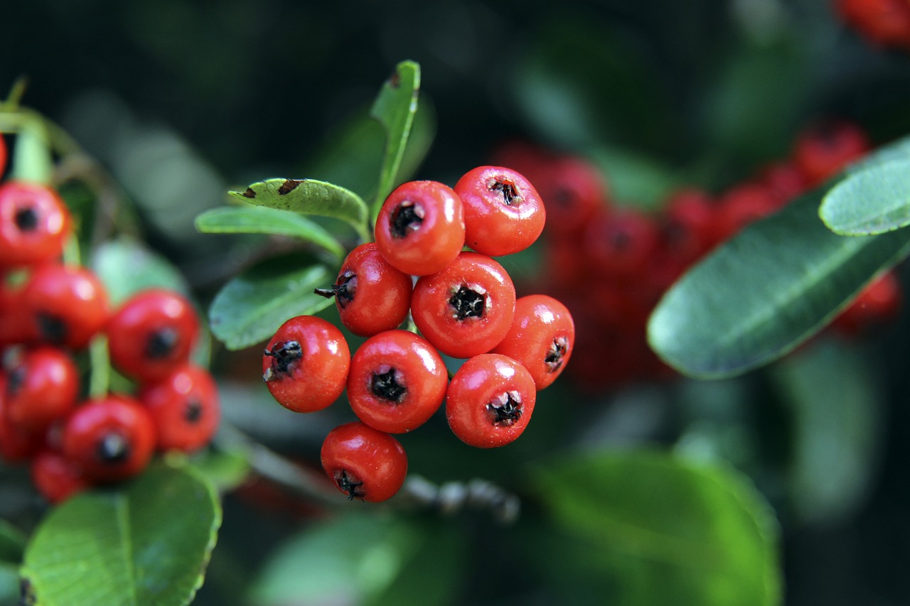 改革让队伍 改革让队伍