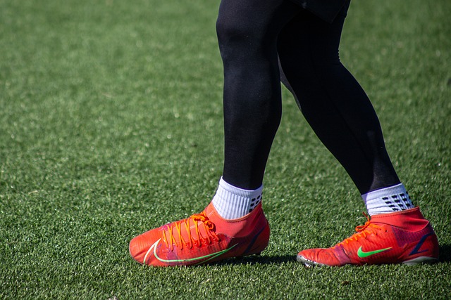 雄鹿队目前 雄鹿队目前