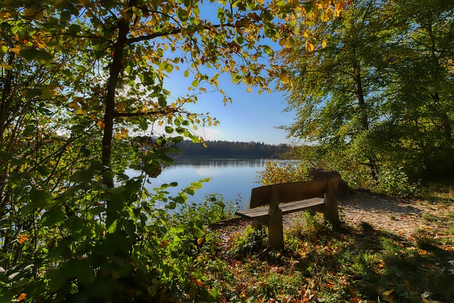 對皇馬和巴 對皇馬和巴