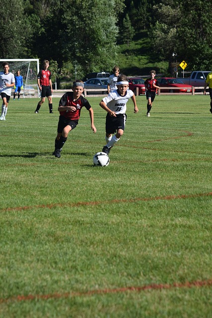 力得到了極 力得到了極