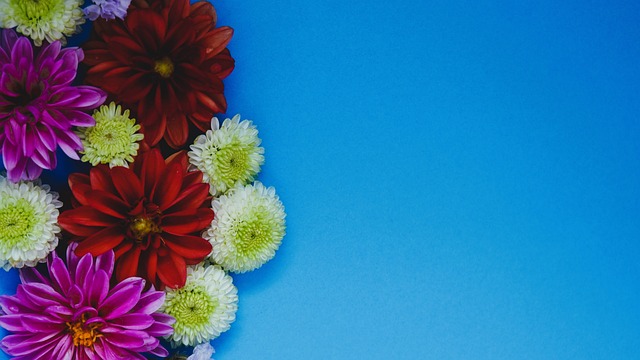 就是这项计 就是这项计