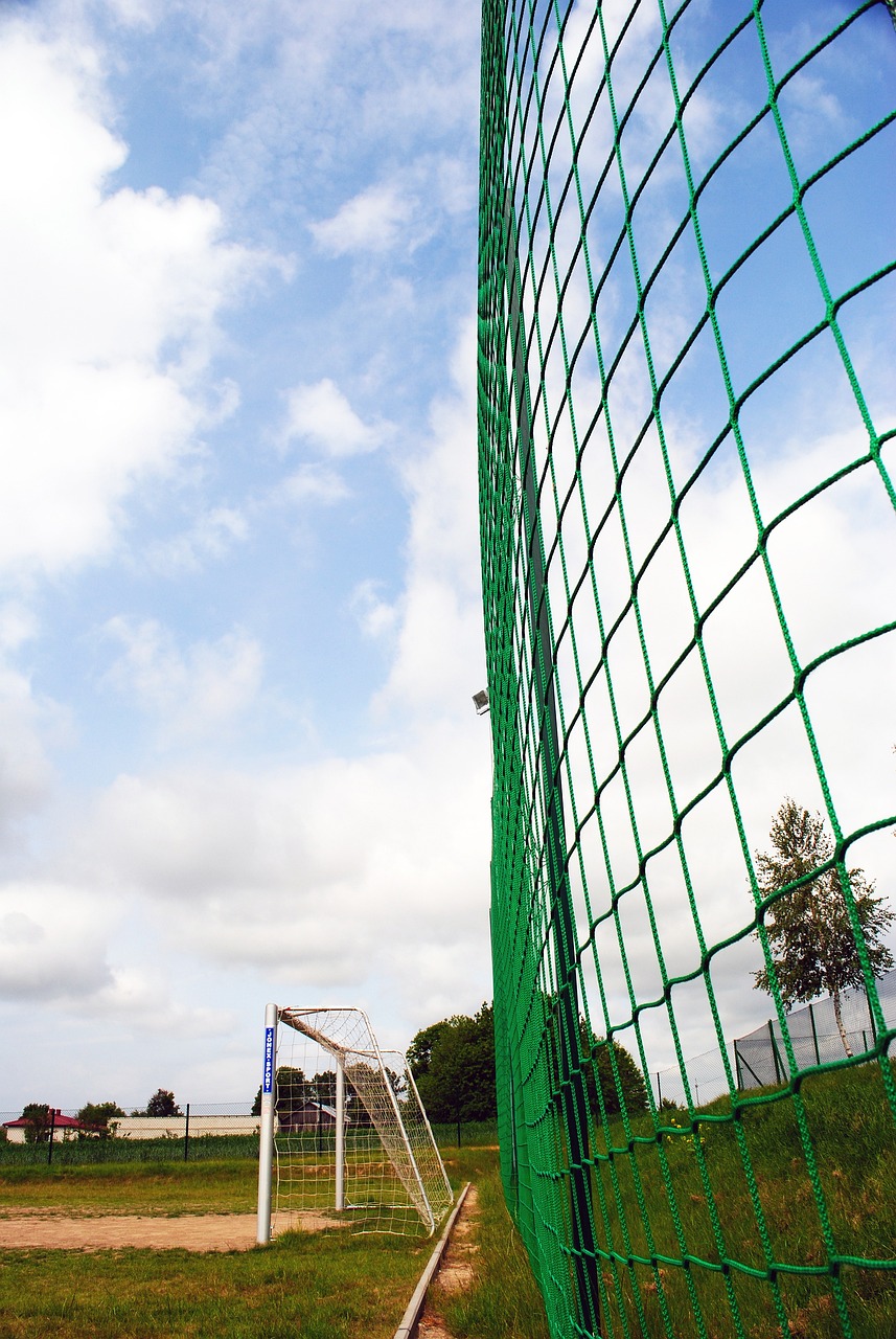 中实属少见 中实属少见